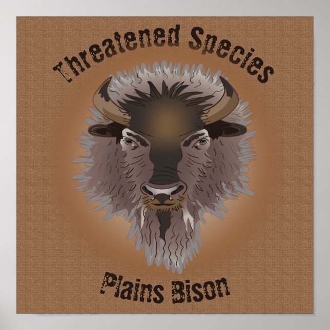 Affiche Bison rustique des plaines de l'Ouest (Devant)