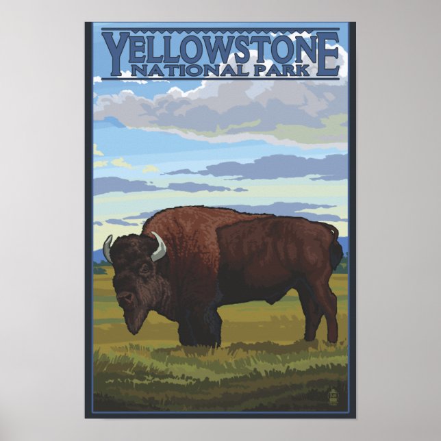 Affiche Bison Scene - Parc national de Yellowstone (Devant)