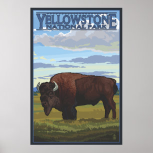 Affiche Bison Scene - Parc national de Yellowstone