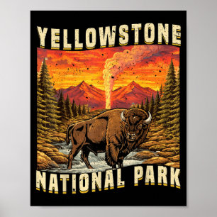 Affiche Bisons femelles du parc national de Yellowstone