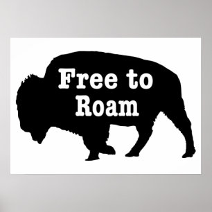 Affiche Bisons libres de se promener