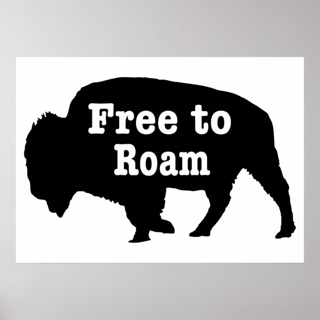 Affiche Bisons libres de se promener (Devant)