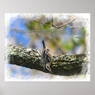 Affiche Bitd in tree Sojourner Vérité citation