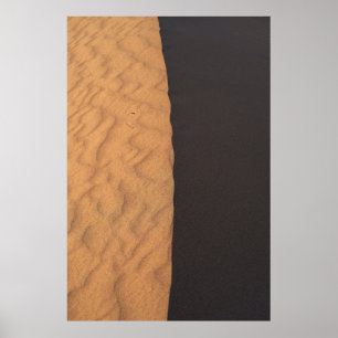 Affiche Black and white floral textile