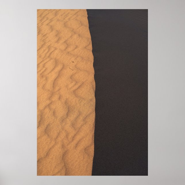 Affiche Black and white floral textile (Devant)