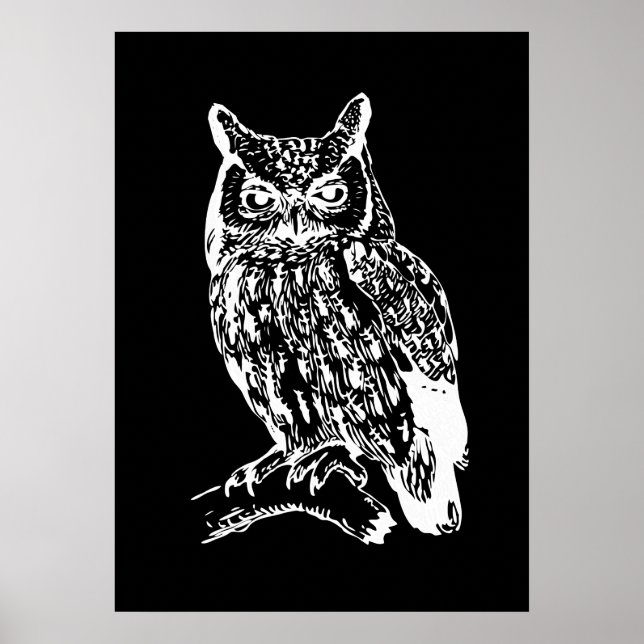 Affiche Black and White Owl Art (Devant)
