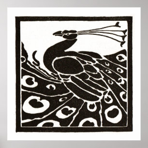AFFICHE BLACK AND WHITE PEACOCK