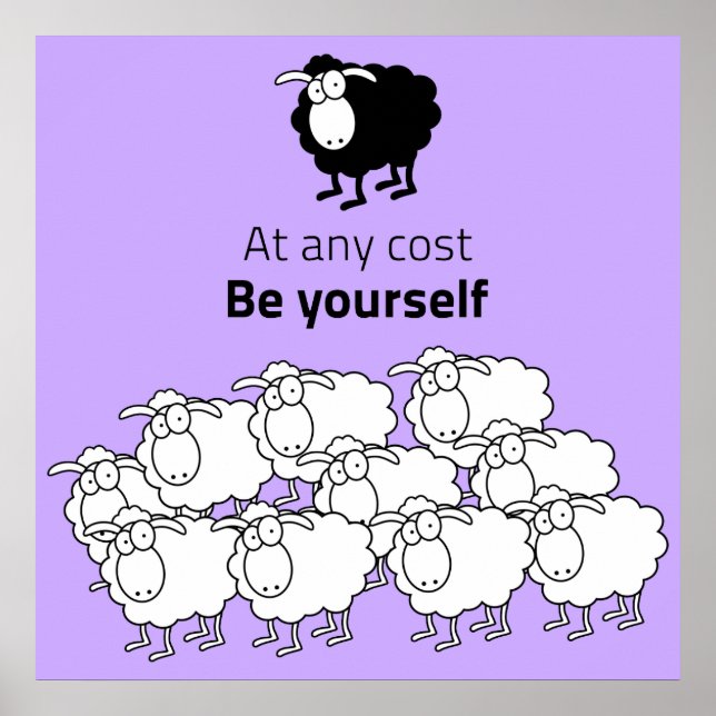 Affiche Black and white sheep (Devant)