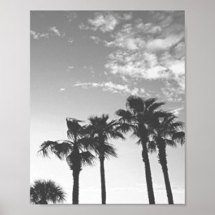 Affiche Black and White Sunset Tropical Palm Trees