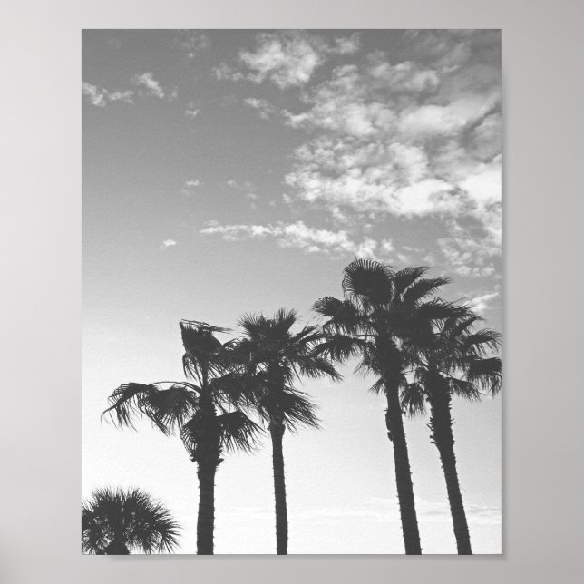 Affiche Black and White Sunset Tropical Palm Trees  (Devant)