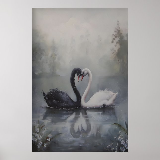Affiche Black and White Swans in Misty Lake Dark (Devant)