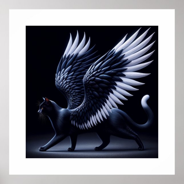 Affiche Black Angel Chat photo prise (Devant)