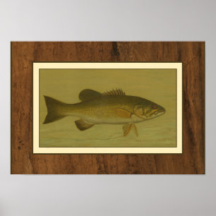Affiche Black Bass sur fond vert