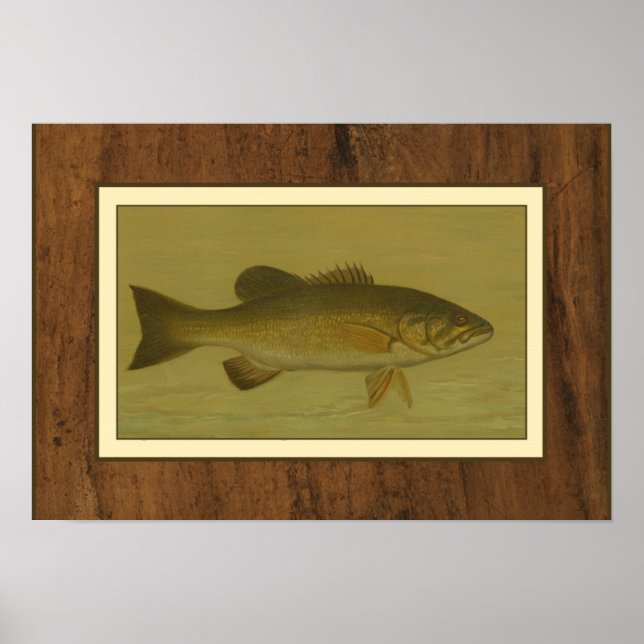 Affiche Black Bass sur fond vert (Devant)