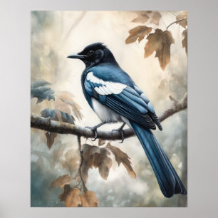 Affiche Black Billed Magpie Oiseau Art Imprimer l'affiche