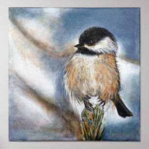 Affiche Black Capped Chickadee Art Print