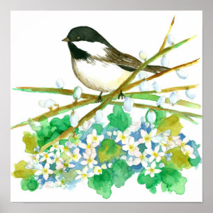 Affiche Black Capped Chickadee Bird Watercolor