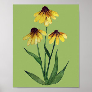 Affiche Black Eyed Susan Aquarelle Daisy Art marguerites m