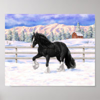 Black Gypsy Vanner Irlandais Cob Brouillon Cheval 