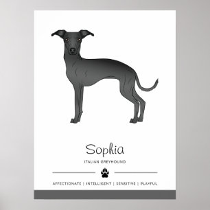 Affiche Black Italien Greyhound mignon chien avec texte pe