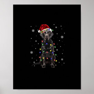 Affiche black lab labrador chien lumières de Noël xmas pèr