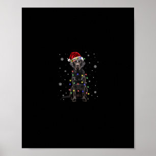 Affiche black lab labrador chien lumières de Noël xmas pèr