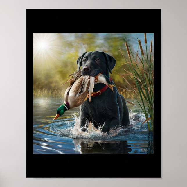 Affiche Black Labrador Retriever Chien Chasse Canards Dans (Devant)