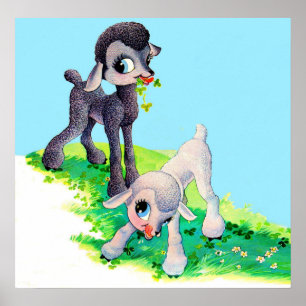Affiche black lamb white lamb