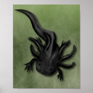 Affiche Black Melanoid Axolotl Art