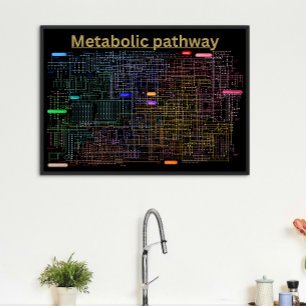 Affiche Black Metabolic pathway of the cell 
