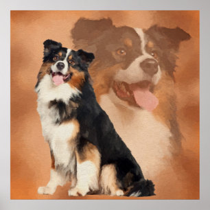 Affiche Black tricolor Australian Shepherd - Aussie