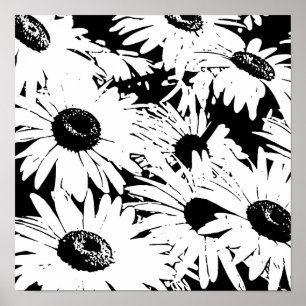 Affiche Black&White Daisies