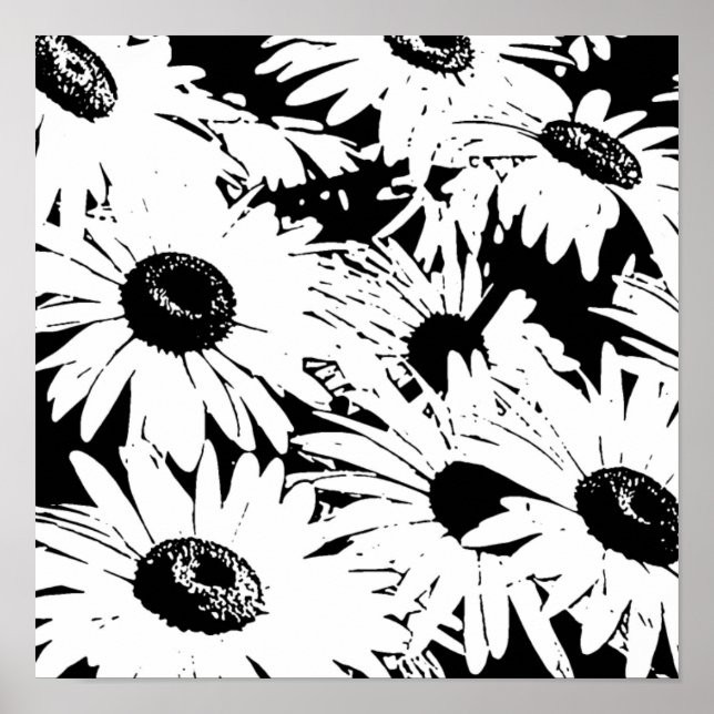 Affiche Black&White Daisies (Devant)