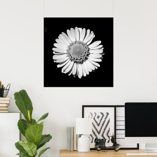 Affiche Black White Daisy Floral Art Photographie botaniqu