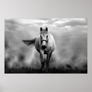 Affiche Black White Runse Horse Freedom