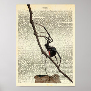 Affiche Black Widow Spider, Gothic, Nature, Arachnophobia