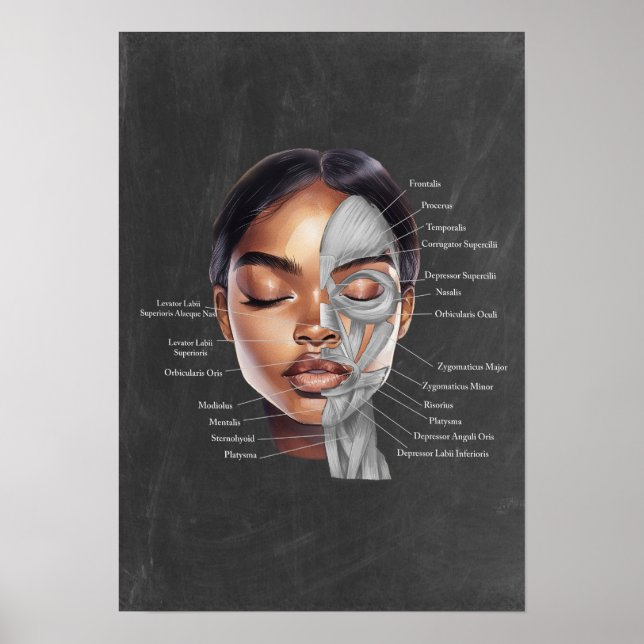 Affiche Black Woman Beauté Anatomie faciale Art (Devant)