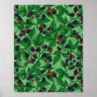 Blackberry en vert