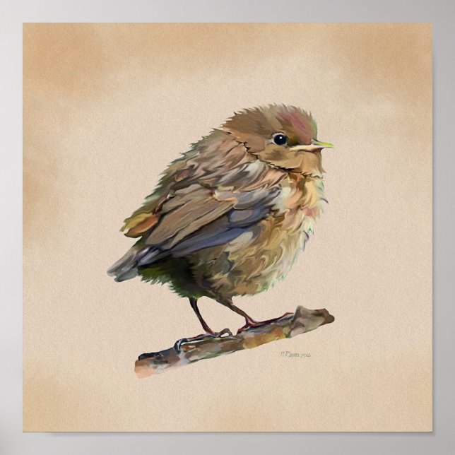 Affiche Blackbird Fledgling` (Devant)