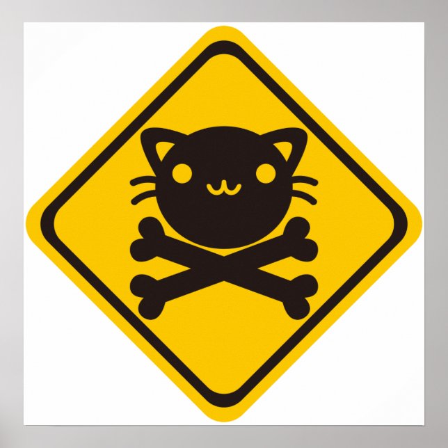 Affiche BlackJack(Chat) (Devant)