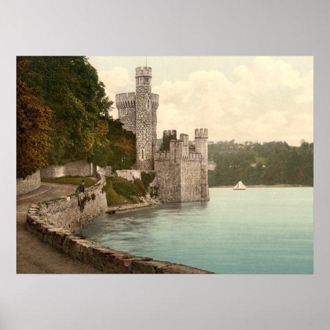 Affiche Blackrock Castle Cork Irlande (Devant)