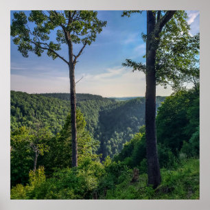 Affiche Blackwater Canyon, Blackwater Falls State Park, WV
