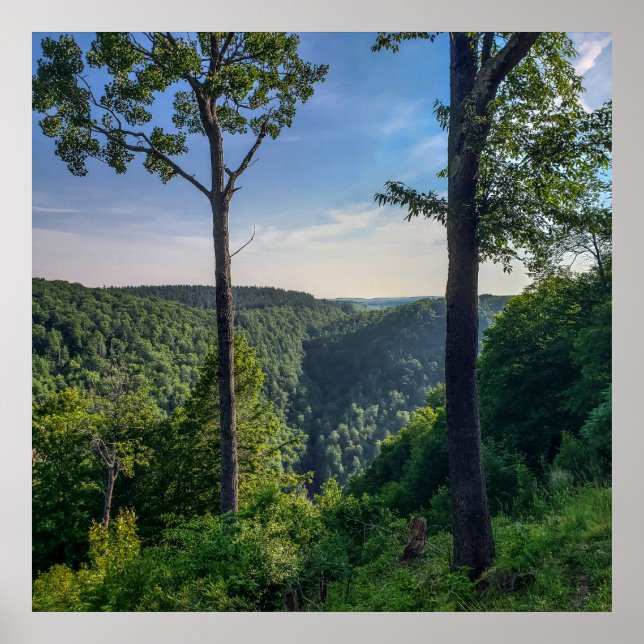 Affiche Blackwater Canyon, Blackwater Falls State Park, WV (Devant)