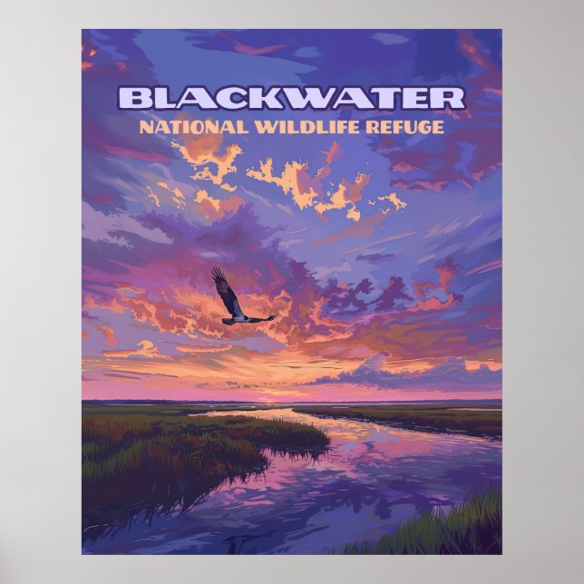 Affiche Blackwater National Wildlife Refuge Park Maryland (Devant)