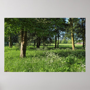 Affiche Blackweir Woods, Bute Park, Cardiff Wales