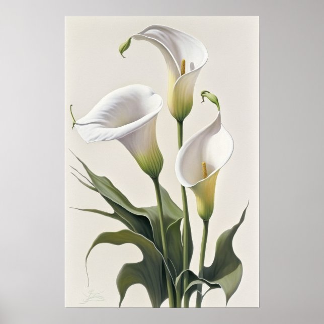 Affiche Blanc Calla Lilies Lily Art à la floraison Imprime (Devant)