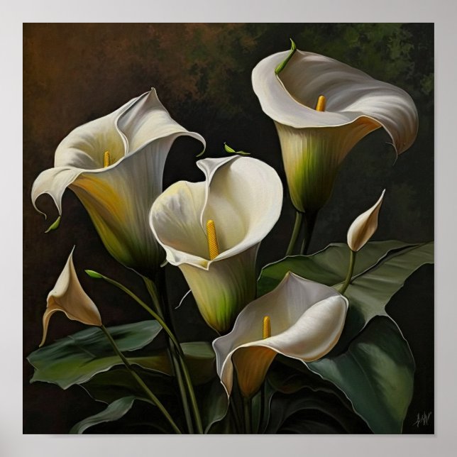 Affiche Blanc Calla Lilies Lily Art à la floraison Imprime (Devant)