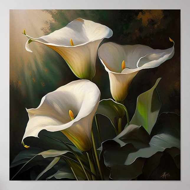 Affiche Blanc Calla Lilies Lily Art à la floraison Imprime (Devant)