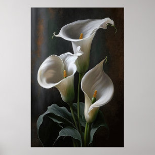 Affiche Blanc Calla Lilies Lily Art à la floraison Imprime