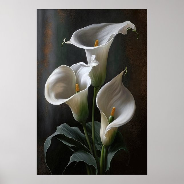 Affiche Blanc Calla Lilies Lily Art à la floraison Imprime (Devant)
